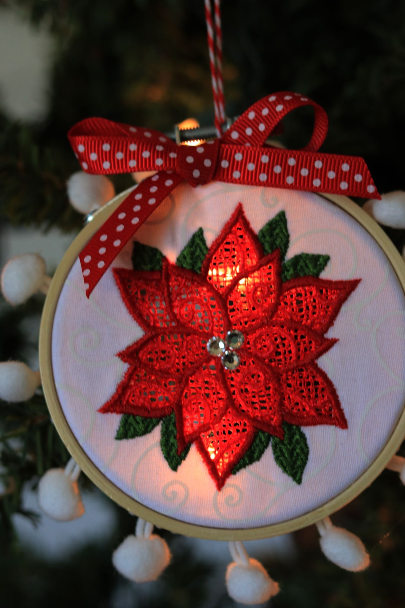 HHD-Poinsettia-1